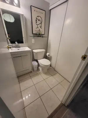 a bathroom with a toilet and a sink and a mirror at Small Apartment for 2 in St. Catharines