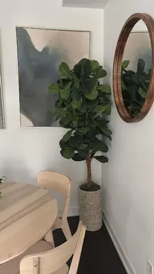 a table and a chair and a plant in a room at Modern Group Condo in Port Hope