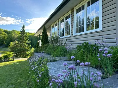 a garden with purple flowers in front of a house at Cajun Cabin Private Nature Resort in Minden