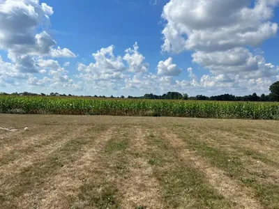 an empty field with a corn field in the background at Deluxe Country Escape-Entire Basement Unit in Hamilton