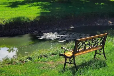 a park bench sitting in the grass next to a pond at 10 Acre Farmhouse with Pool + 5 Bedrooms/3 Baths in East Gwillimbury