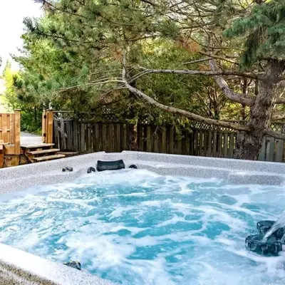 Cozy upgraded Chalet Hot Tubs Sauna Fireplace