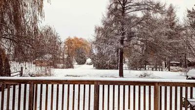 a snow covered park with a fence and trees at Rice Lake Retreat 2 Bed Home 16 Ft Swim spa Sauna in Bailieboro