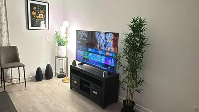 a living room with a tv on a stand with a plant at Basek Apartments in Toronto
