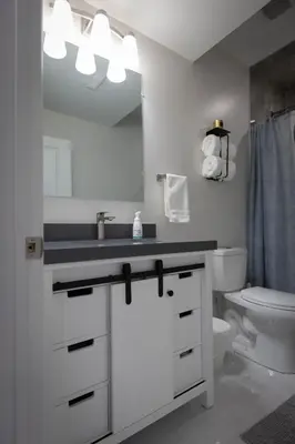 a bathroom with a sink and a toilet and a mirror at Cozy Cove Retreat, Private Suite Near Friday Harbour, Barrie & Lake Simcoe in Innisfil