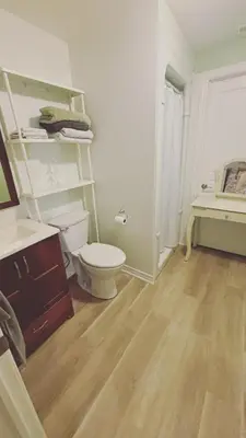 a bathroom with a toilet and a sink and a mirror at Grimsby on the Lake sweet, your perfect retreat in Grimsby