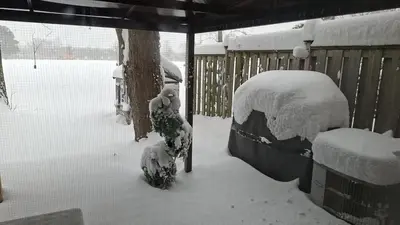 a yard covered in snow with a tree at Parkside Modern Retreat in Mississauga
