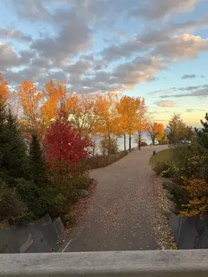 a walking path with trees on the side of a lake at Central Signature Stay Downtown-Direct Transit to BMO Field Union & Free Wifi in Toronto