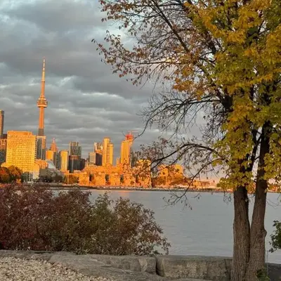 Central Signature Stay Downtown-Direct Transit to BMO Field Union & Free Wifi