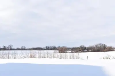 a field covered in snow with trees and bushes at Spacious 4BR Home with EV Charger in Cambridge
