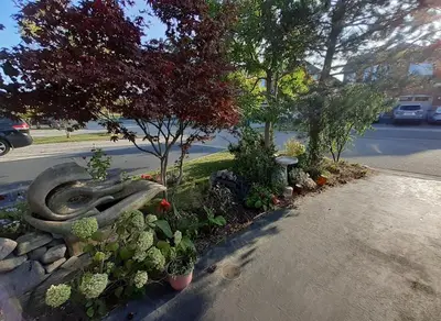 a garden of plants and flowers on the side of a street at Zen-out Home in Mississauga