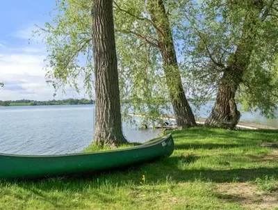a green canoe sitting on the grass next to trees at The Magnolia - 37 Butternut in Cherry Valley
