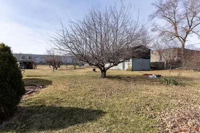 a tree in the middle of a grass field at Multi-level home near Squareone, Airport, 3Parking in Mississauga