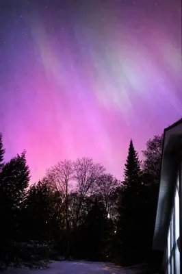 a purple and pink sky with trees and a building at Waterfront Muskoka Cottage with FirePit, BBQ and Canoes in Bracebridge
