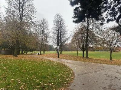 a path in a park with trees and leaves at Cozy Parkside 2 Bedroom Basement Suite in Vaughan