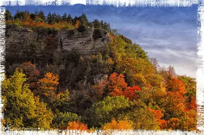 an autumn view of a mountain with colorful trees at Forest View Secluded Serene in Hamilton