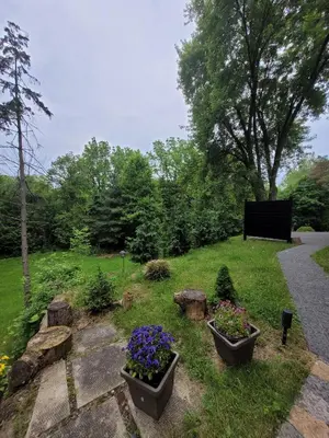 a garden with two pots of flowers in the grass at Forest View Secluded Serene in Hamilton