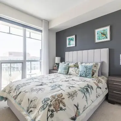 Paradise Birds 1 Bedroom Condo in Downtown Toronto
