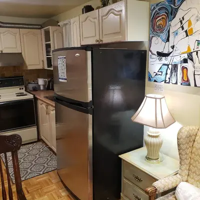 a stainless steel refrigerator in a kitchen with a lamp at Homely Inn in Toronto