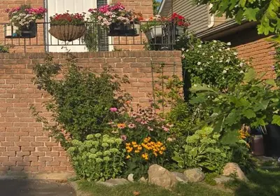 a brick wall with flowers in front of a house at Homely Inn in Toronto