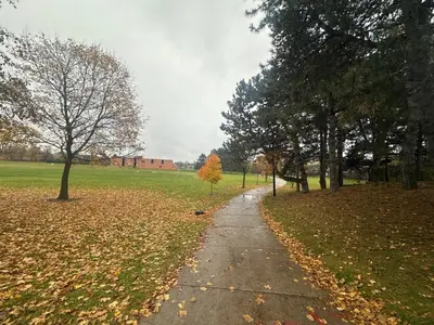 a path in a field with trees and leaves at Cozy Basement Studio with Private Bathroom and Kitchen in Vaughan