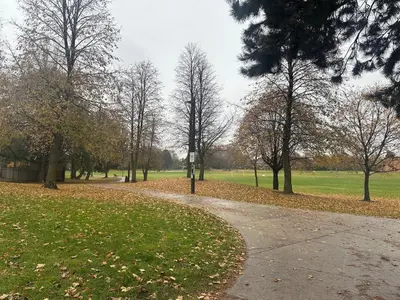 a path in a park with trees and leaves at Cozy Basement Studio with Private Bathroom and Kitchen in Vaughan
