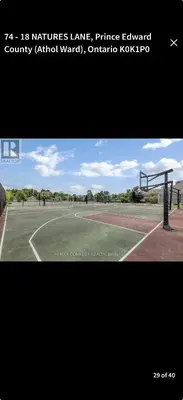 a picture of a tennis court with a net at East Lake Cottages in Cherry Valley