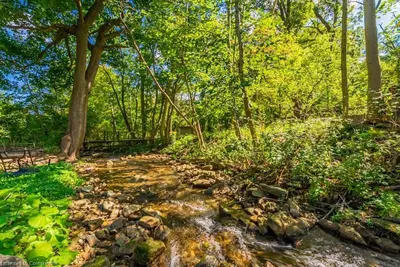 a stream in the middle of a forest at Licensed-8 Acre Estate, Trail & Stream with 3 Beds in Hamilton
