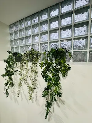 a plant in front of a window at The Urban Executive Suite - Premier Kitchener Loft in Kitchener