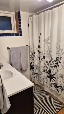 a bathroom with a sink and a shower curtain at 1 Bedroom basement Suite in Junction Bloor West Village in Toronto