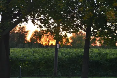 a street sign in a field with two trees at Old Town Country Landing in Niagara on the Lake