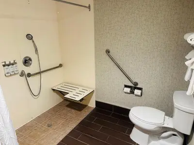a bathroom with a toilet and a shower stall at Holiday Inn Express Hotel & Suites Milton by IHG in Milton