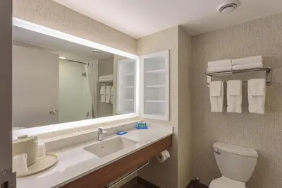 a bathroom with a sink and a mirror and a toilet at Holiday Inn Express & Suites - Belleville by IHG in Belleville