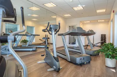 a gym with treadmills and elliptical machines at Holiday Inn Express & Suites - Belleville by IHG in Belleville