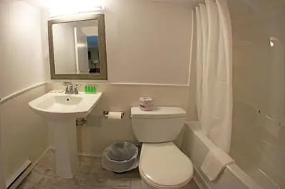 a bathroom with a toilet and a sink and a mirror at The Falls Family Lodge in Niagara Falls