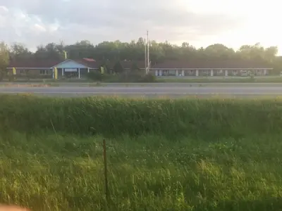 a field of green grass next to a road at All Tucked Inn in Waubaushene