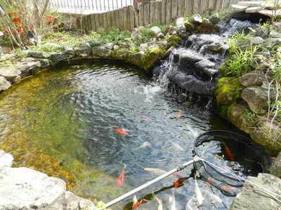 a garden with a pond with kites in it at Capri Inn in St. Catharines