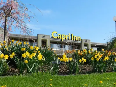 a garden of flowers in front of a building at Capri Inn in St. Catharines