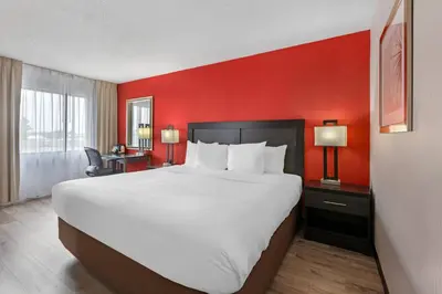 a large bed in a hotel room with a red wall at Quality Inn & Suites 5585 Ambler Drive Mississauga Ontario in Mississauga