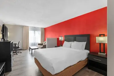 a hotel room with a large bed and a red wall at Quality Inn & Suites 5585 Ambler Drive Mississauga Ontario in Mississauga