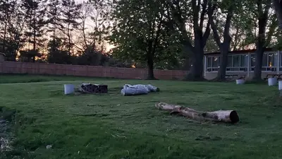 a group of logs laying in a grass field at Riverview Motel in Dunnville