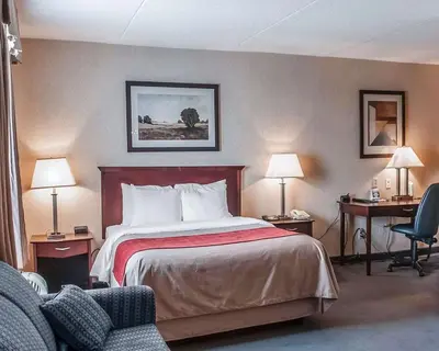 a hotel room with a bed and two tables and two lamps at Comfort Inn in Mississauga