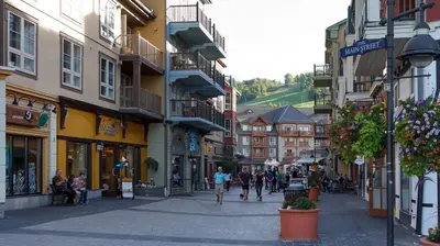 a group of people walking down a street in a town at Beautiful Mountain Studio in The Blue Mountains in Blue Mountains