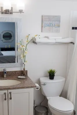 a bathroom with a toilet and a sink and a mirror at Beautiful Mountain Studio in The Blue Mountains in Blue Mountains