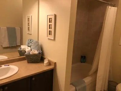 a bathroom with a sink and a shower and a tub at Willow Pond Satellite B&B in Port Perry