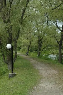 a path in a park with a bench and trees at Benmiller Inn & Spa in Goderich