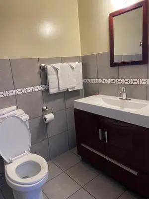 a bathroom with a toilet and a sink and a mirror at Scottish Inn Near the Falls and Casino in Niagara Falls