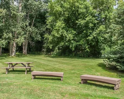 two benches sitting in the grass in a park at Comfort Inn in Simcoe