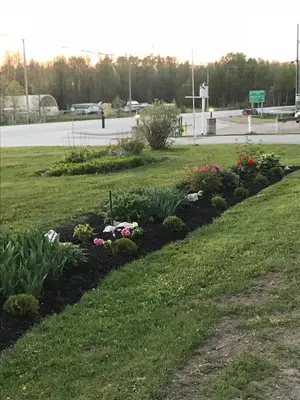 a row of flower beds in a park at Shenstone Motor Inn in Wiarton