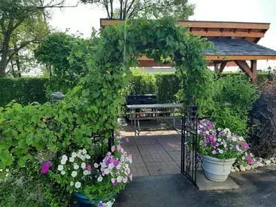 a pergola with a bunch of flowers in a garden at Blue Moon Motel in Niagara Falls